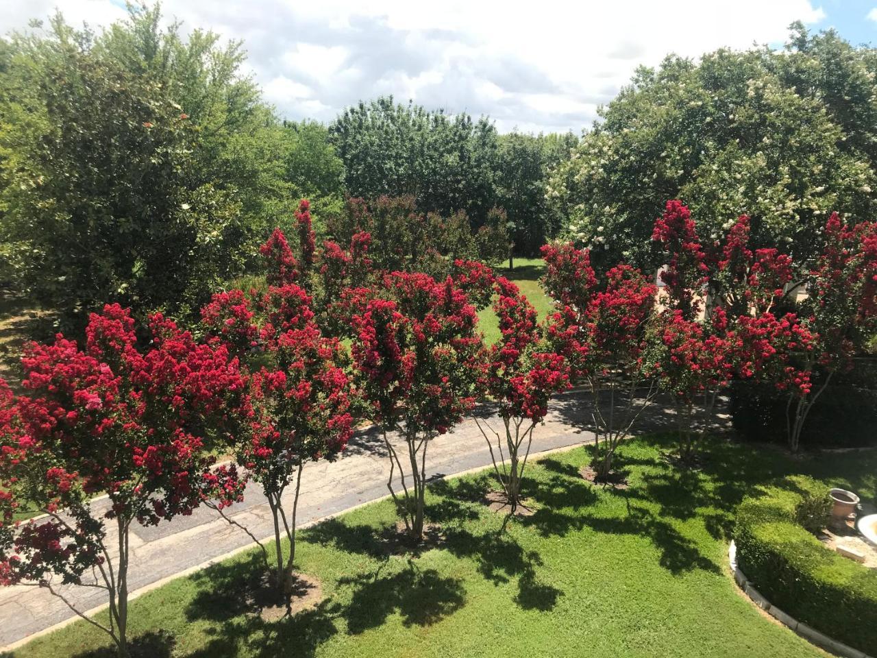 The Plantation House Boutique Inn Pflugerville Luaran gambar